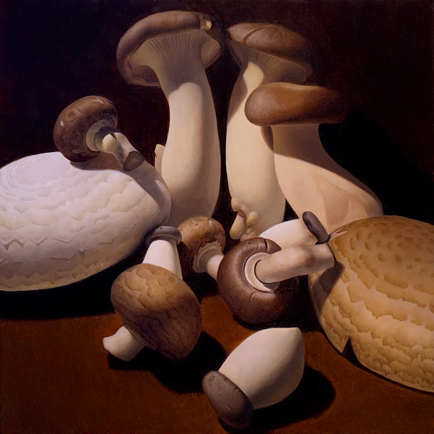 Funghi